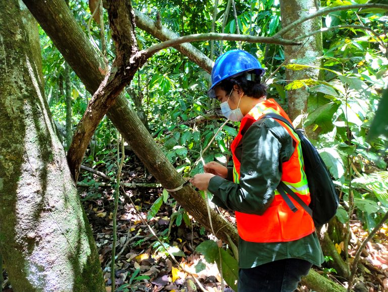 Sampling Flora di Site Pengembangan PT