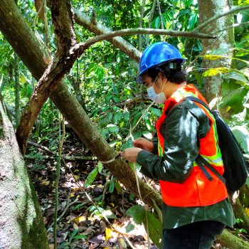 Sampling Flora di Site Pengembangan PT